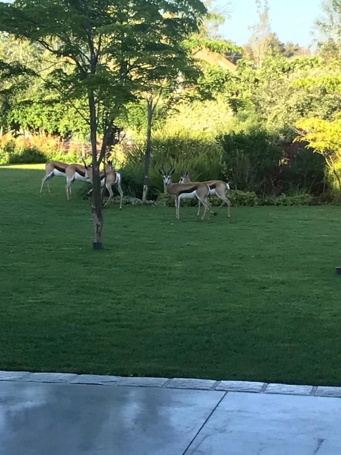 Addo Wildlife Villa Buitenkant foto