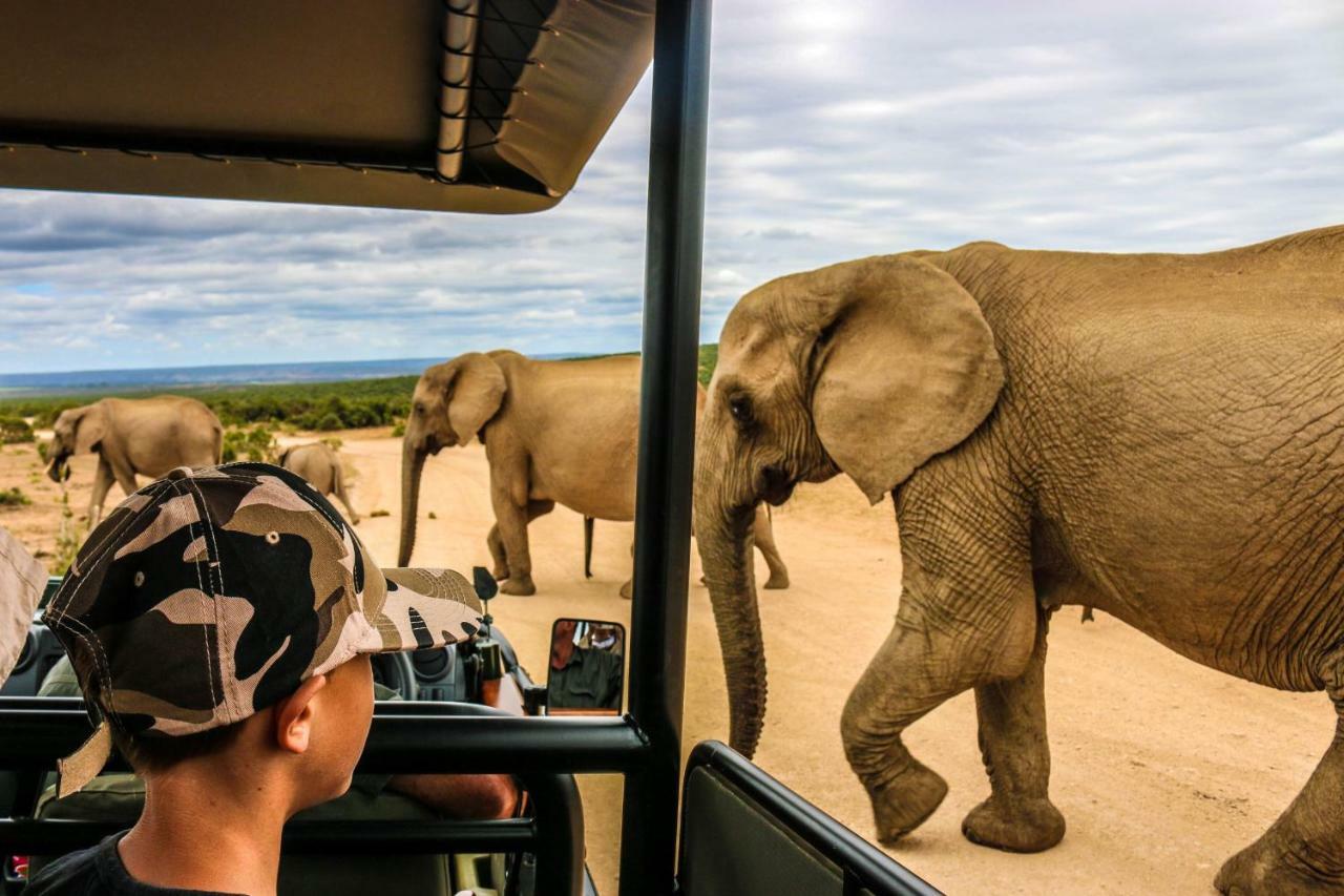 Addo Wildlife Villa Buitenkant foto
