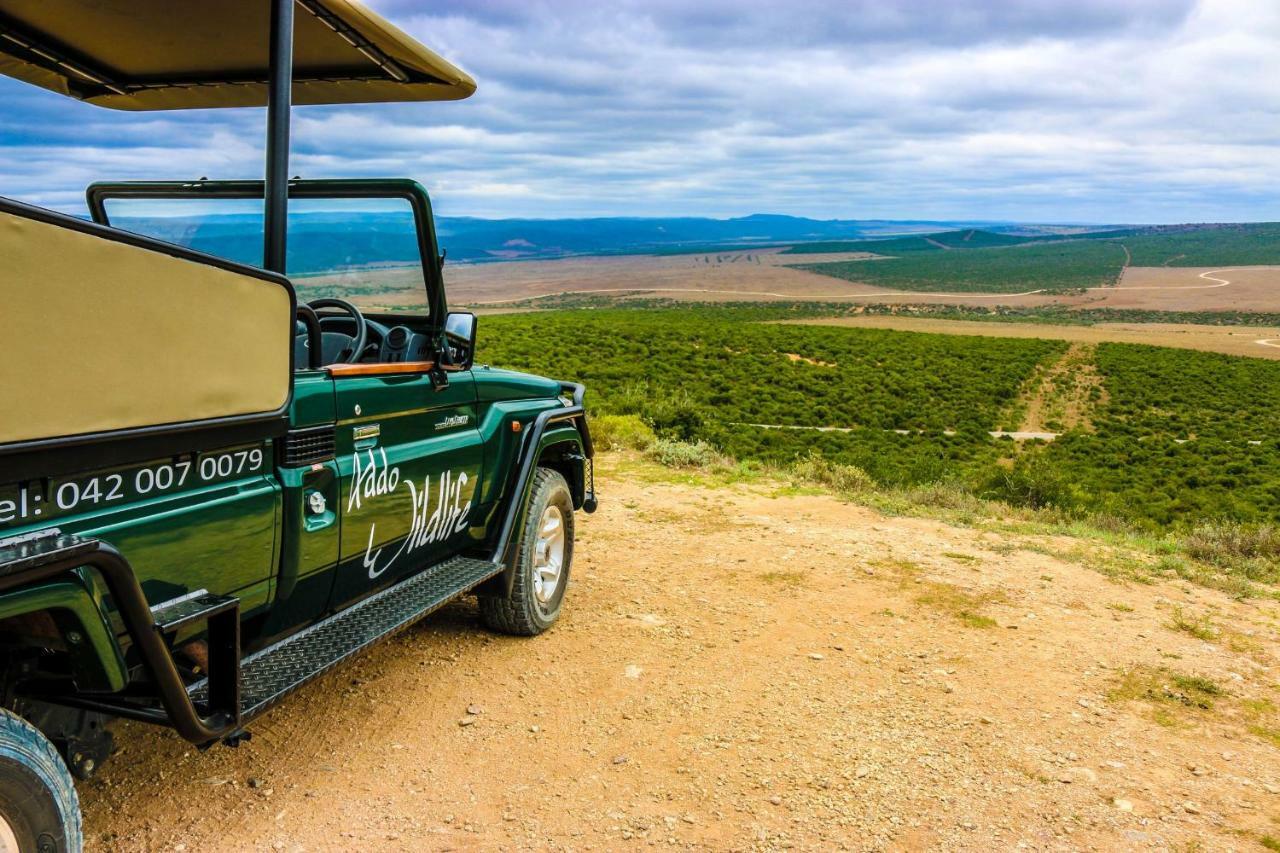 Addo Wildlife Villa Buitenkant foto